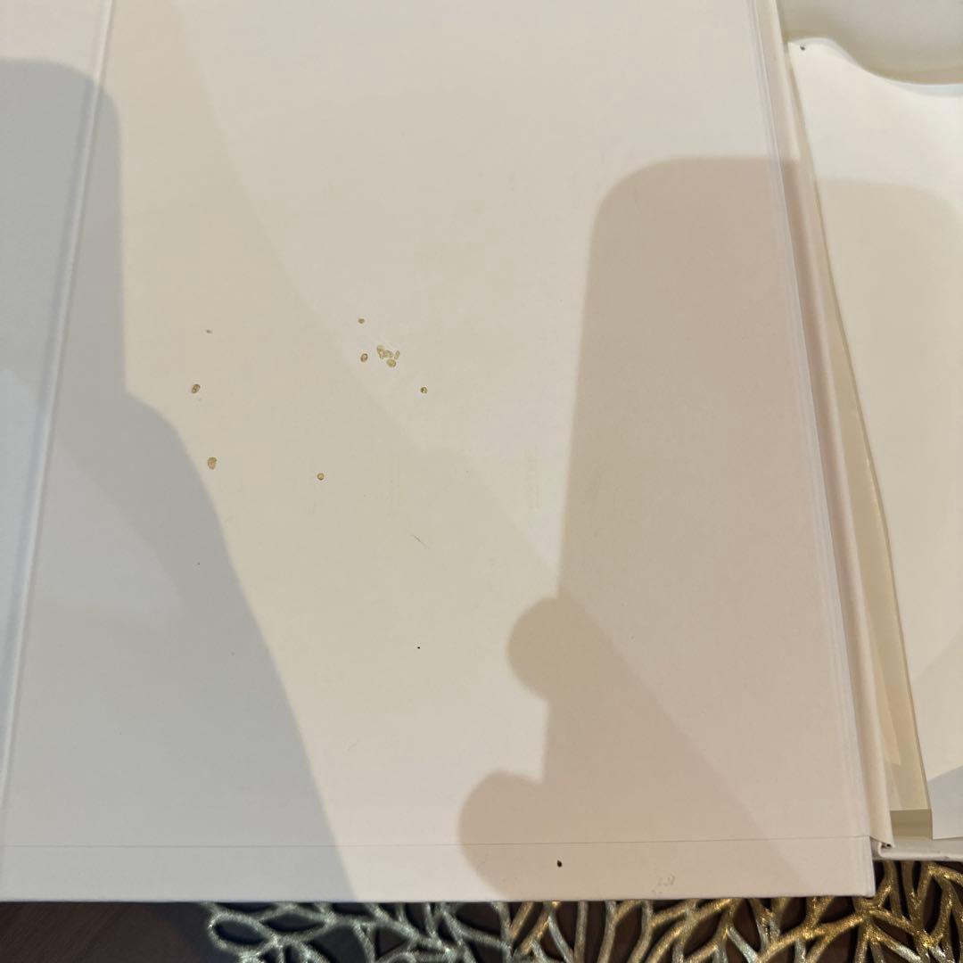 【セール】Bottega Veneta iPhoneケース 15pro