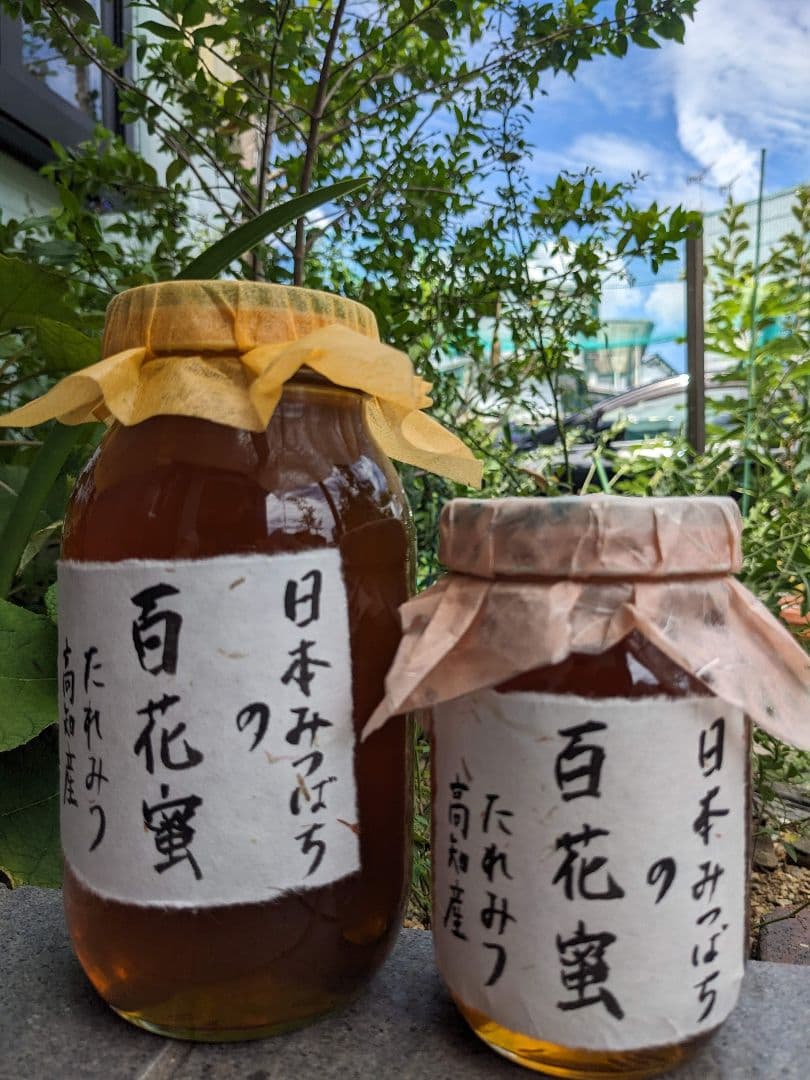 日本ミツバチ 蜂蜜 令和7年度 採れたて　たれ蜜　2年もの600g×2本 非加熱