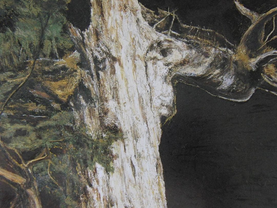 京田徹夫、【3000年の生命（紀元杉）】、希少な額装用画集より