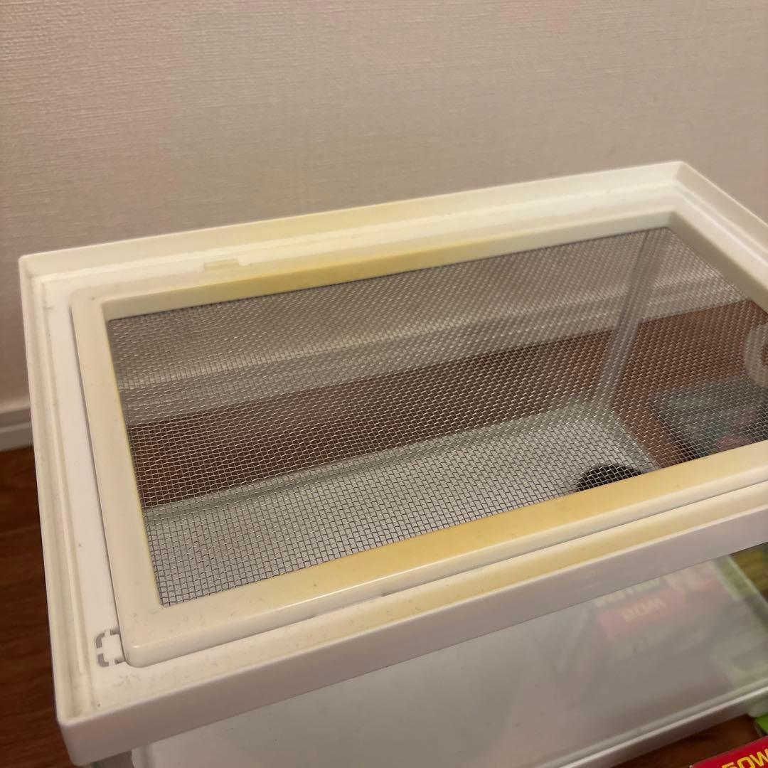 両生類飼育セット