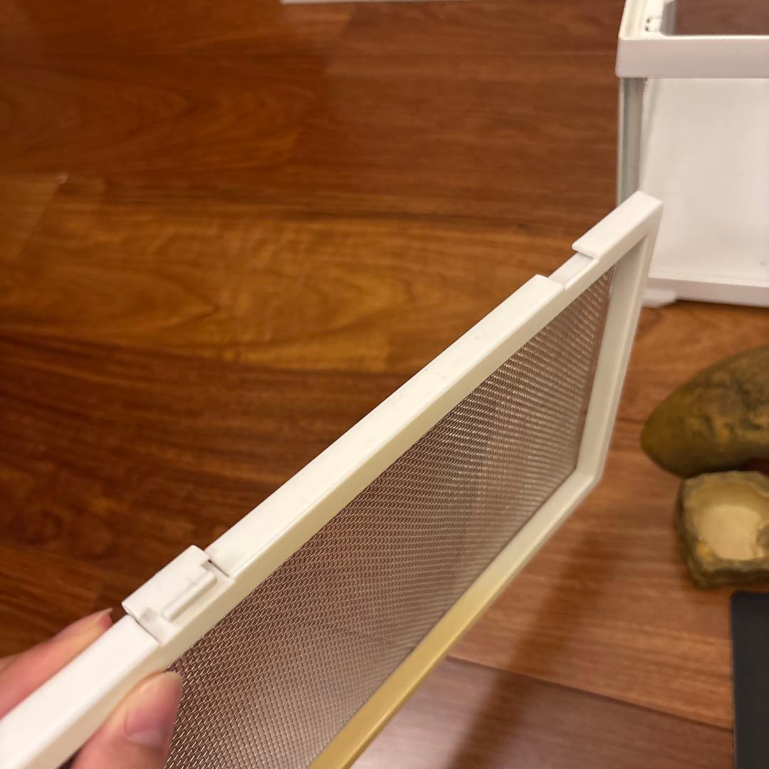 両生類飼育セット