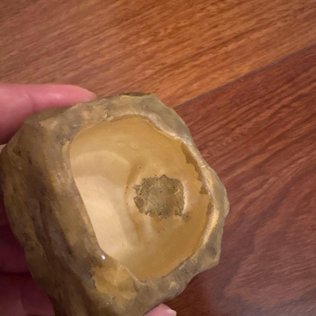 両生類飼育セット