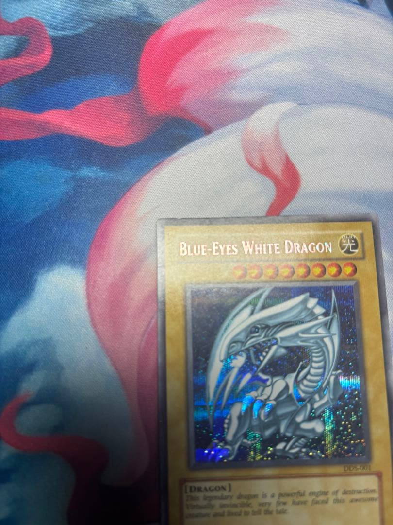 遊戯王 青眼の白龍　R