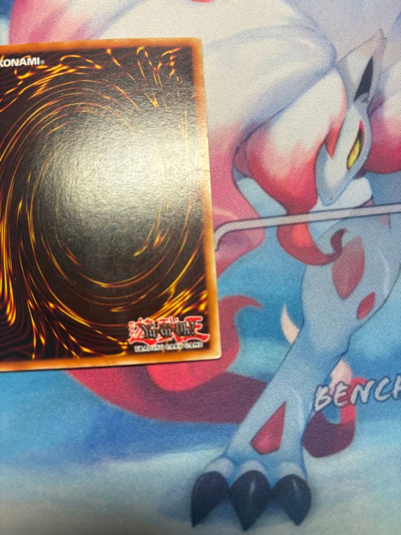 遊戯王 青眼の白龍　R