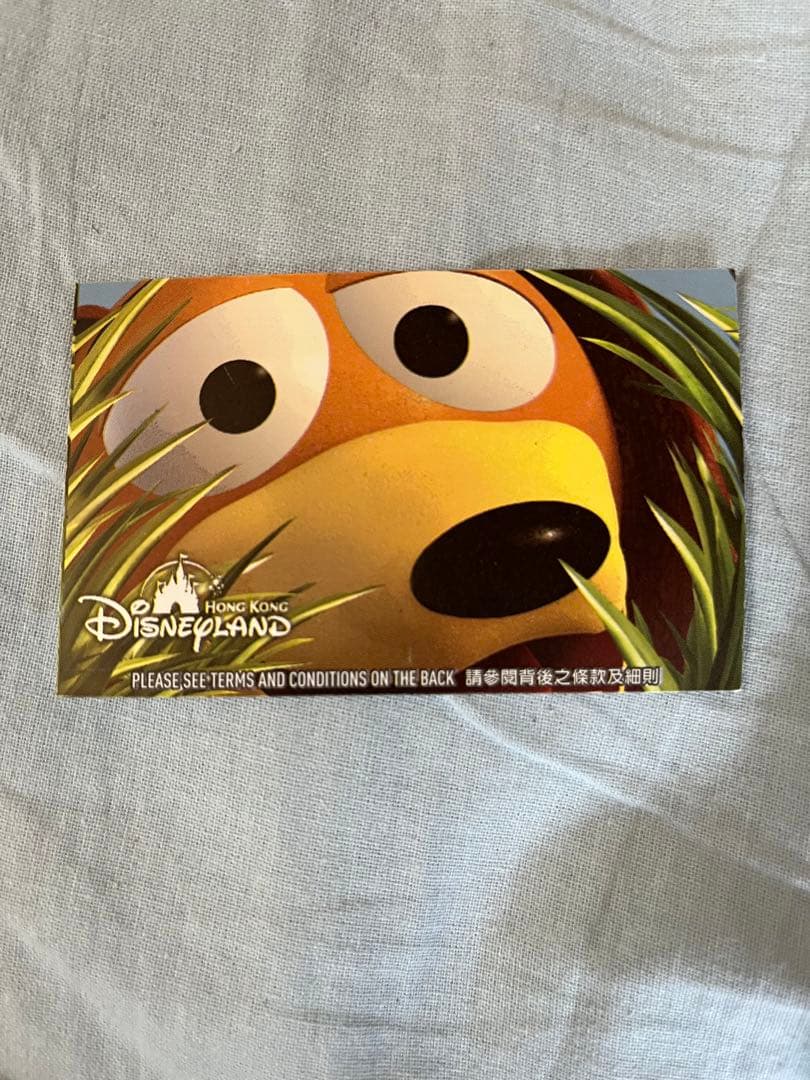 ディズニー 年間パスポート 年パス パスケース 30周年