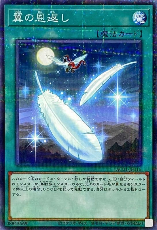 ツバサの恩返し