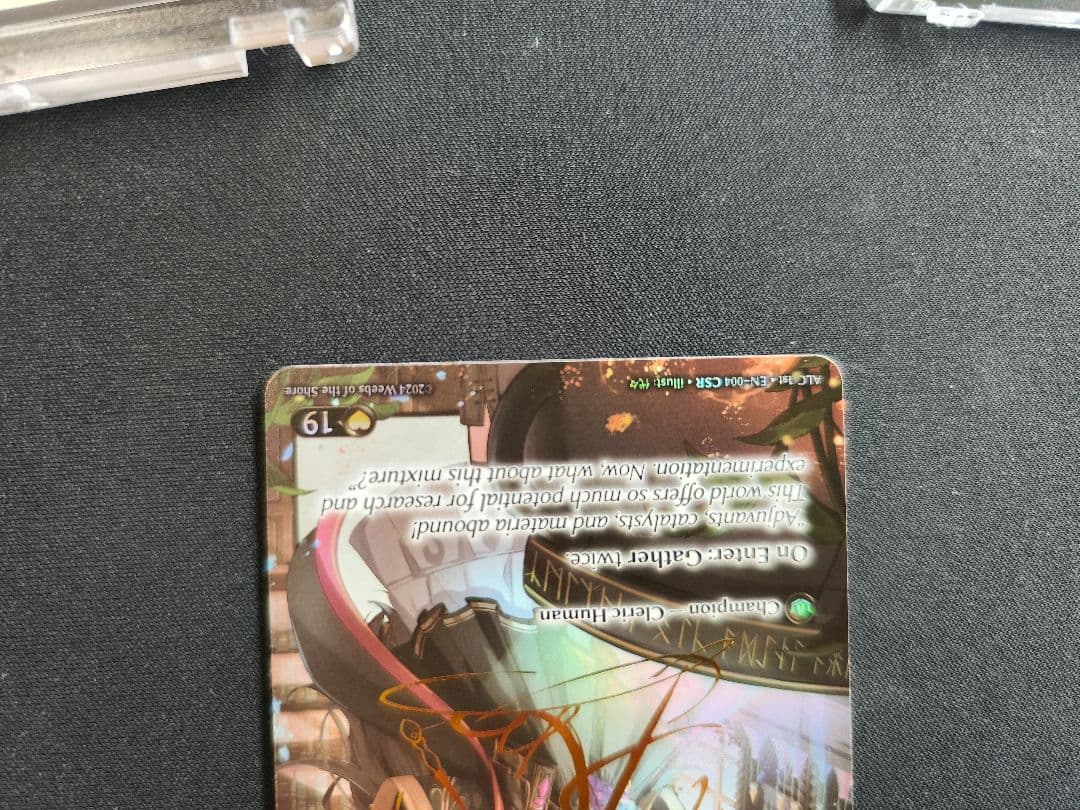 ★ レインさん専用出品 ★　Arisanna + Jin CSR