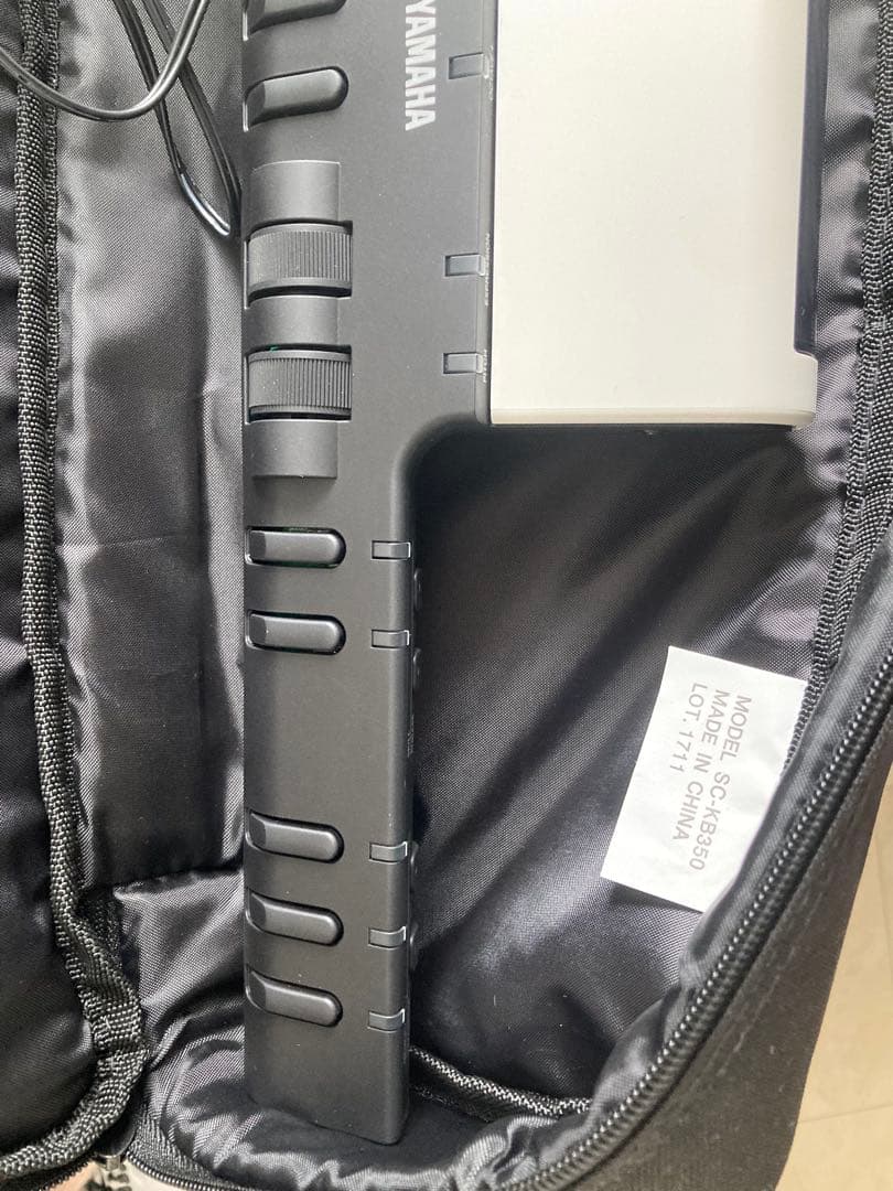 T*a様 ケース付き　美品　ボーカロイド Keyboard VKB-100 動作