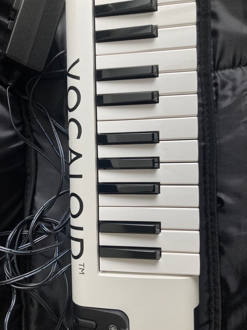 T*a様 ケース付き　美品　ボーカロイド Keyboard VKB-100 動作