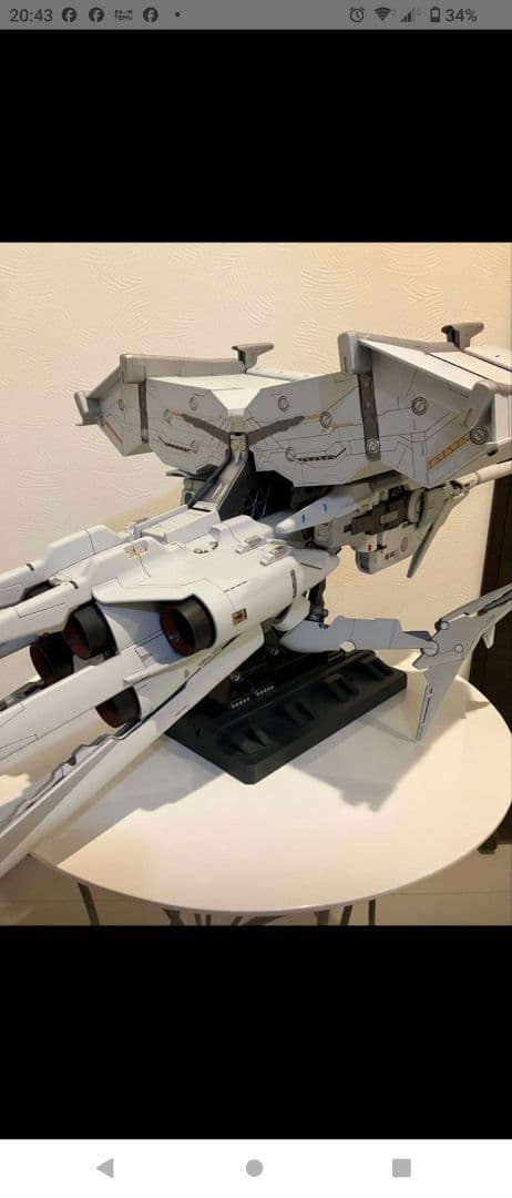 HG デンドロビウム　塗装済 完成品