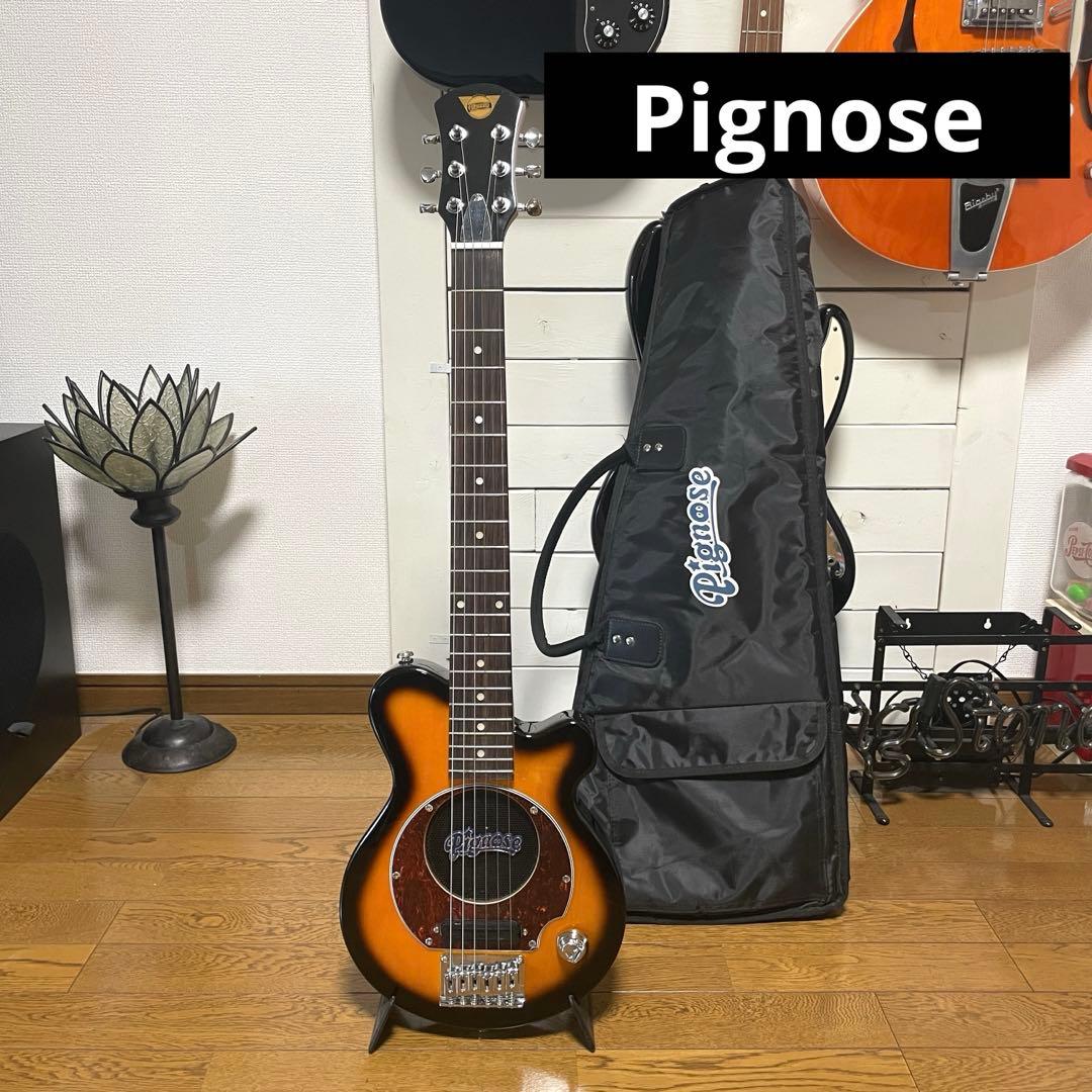 【美品】PIGNOSE PGG-200 保護フィルムまま アンプ内蔵 ミニギター