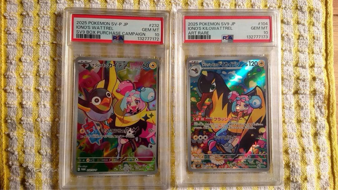 ナンジャモのタイカイデン AR ナンジャモのカイデンプロモ PSA10