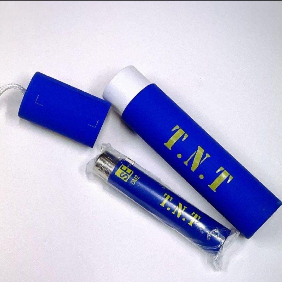 新品　送料無料　sE ELECTRONICS DM2 T.N.T DM2シリーズ