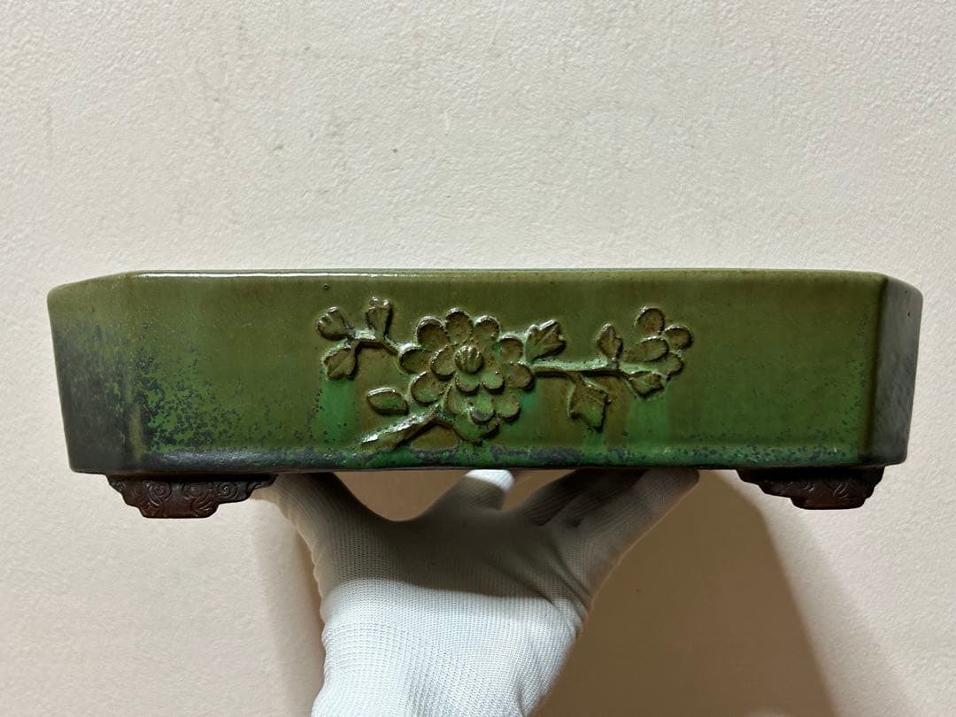 山秋　盆栽鉢　小品盆栽　山野草