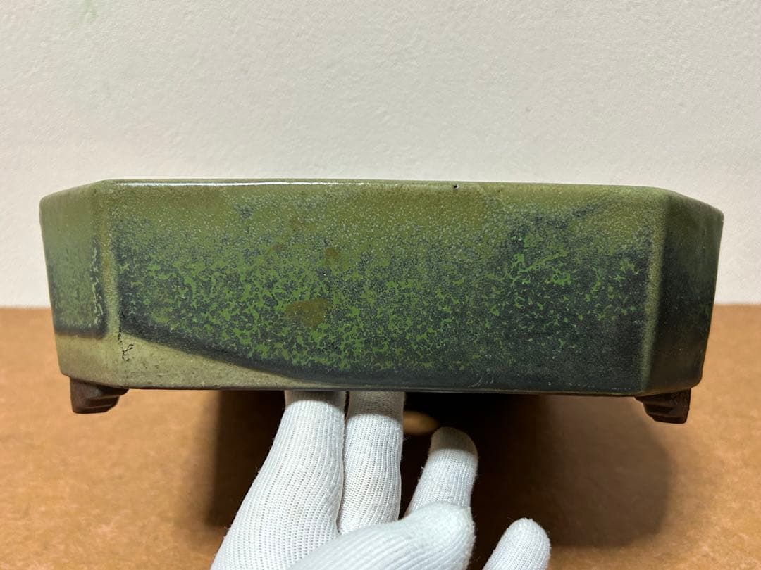 山秋　盆栽鉢　小品盆栽　山野草