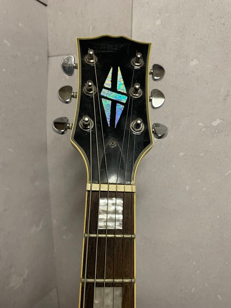 か*お様 レスポール　エレキギター　ブランド不明　ソフトケース付き