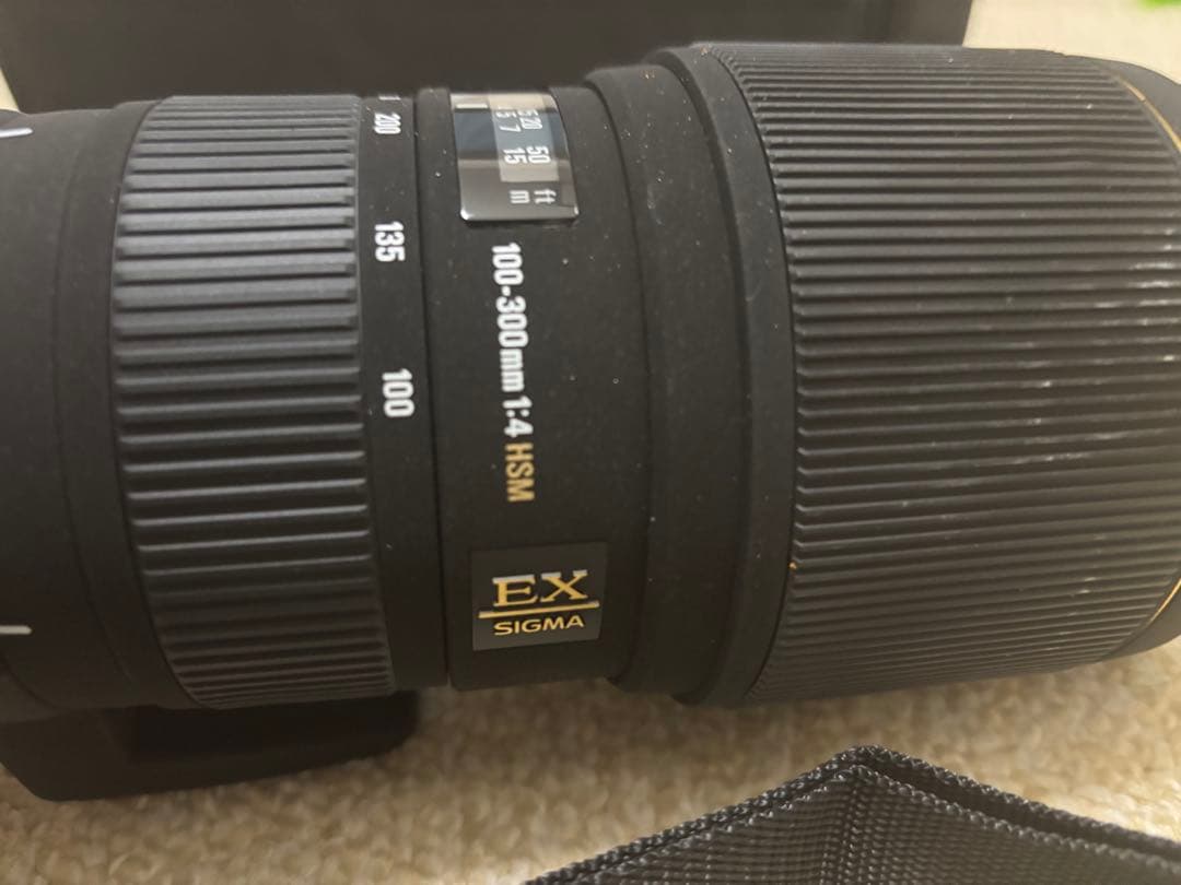 レンズ(ズーム) Nikon APO 100-300mm F4 EX DG HSM