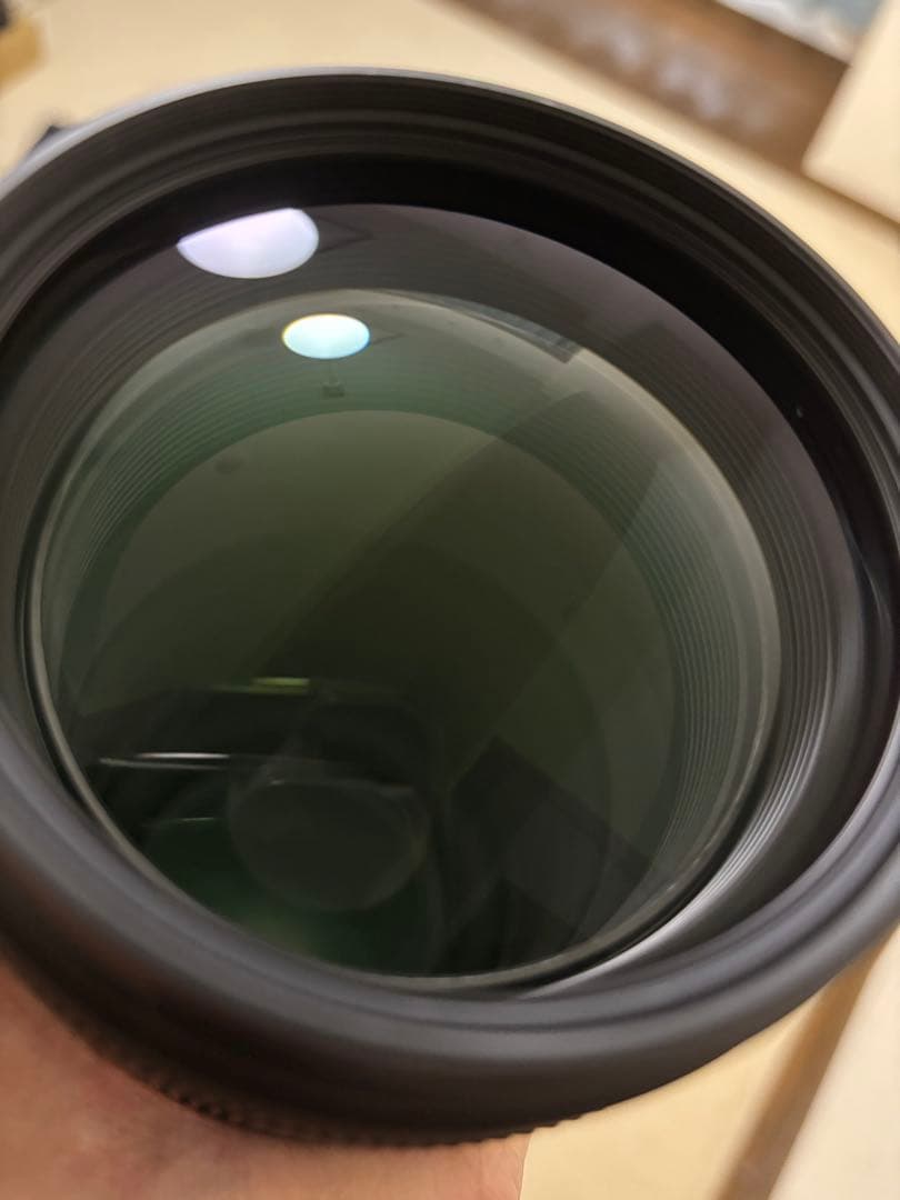 レンズ(ズーム) Nikon APO 100-300mm F4 EX DG HSM