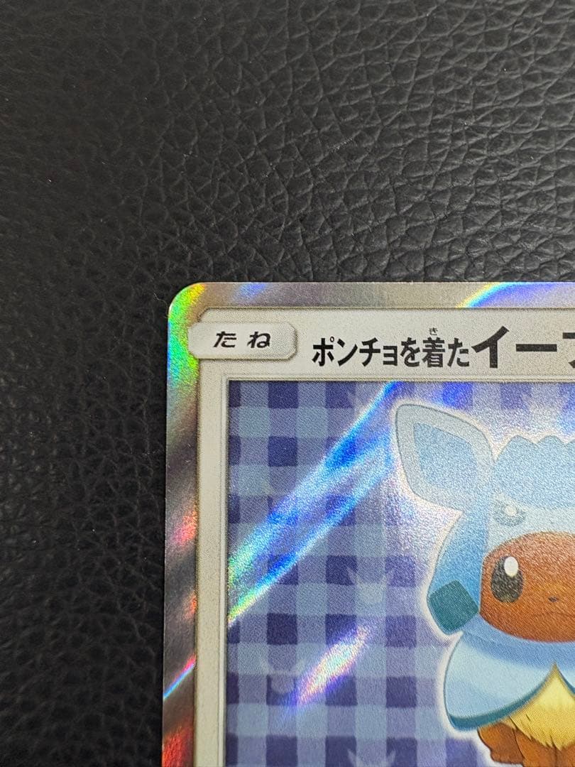 ポンチョを着たイーブイ