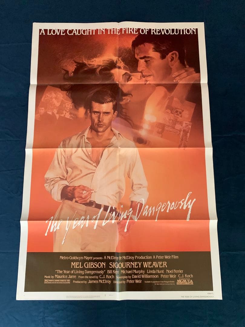 危険な年　USオリジナル映画ポスター