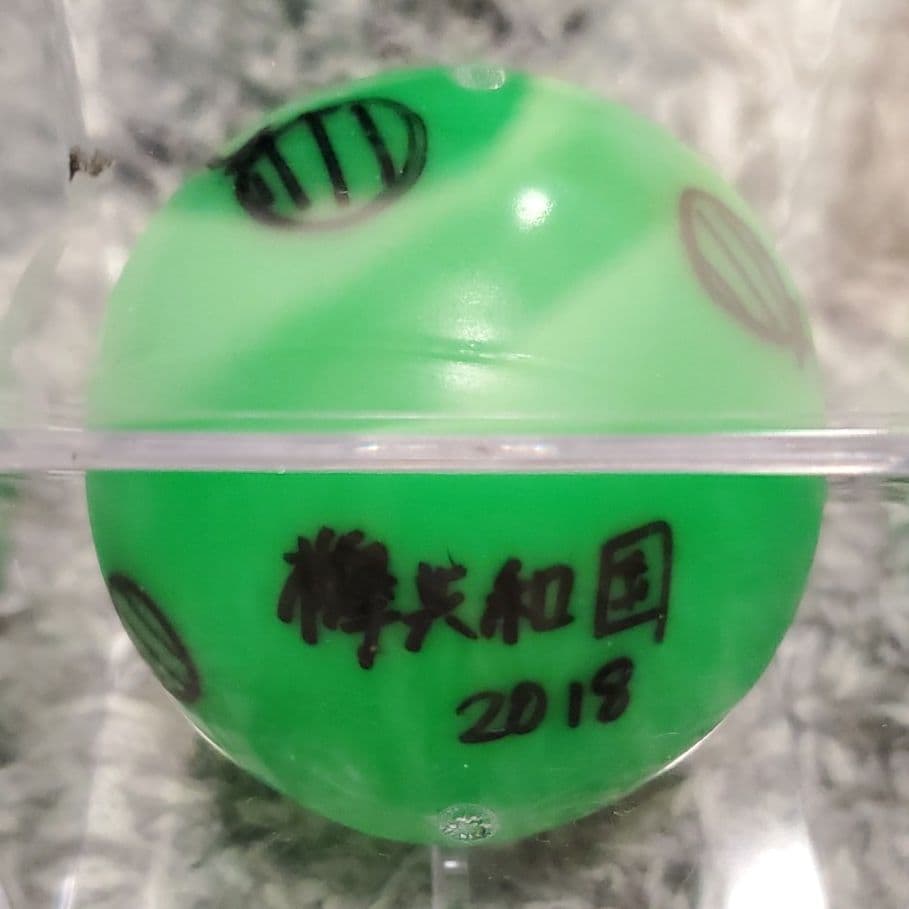 欅坂46 欅共和国2018 長濱ねる サインボール