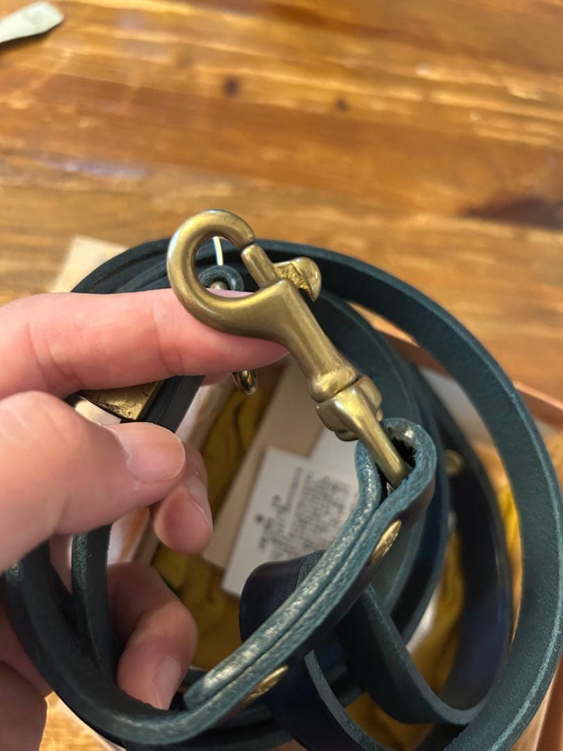 未使用 イルビゾンテ ドッグリード 緑