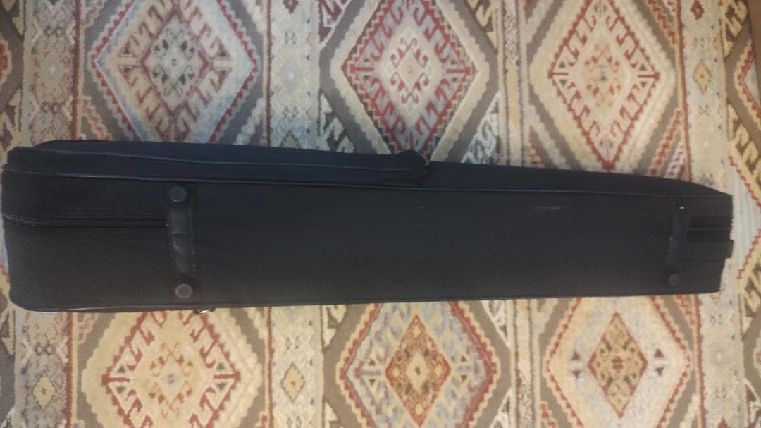 CARLO GIORDANO VS-2 4/4サイズ バイオリン 本体+弓2本