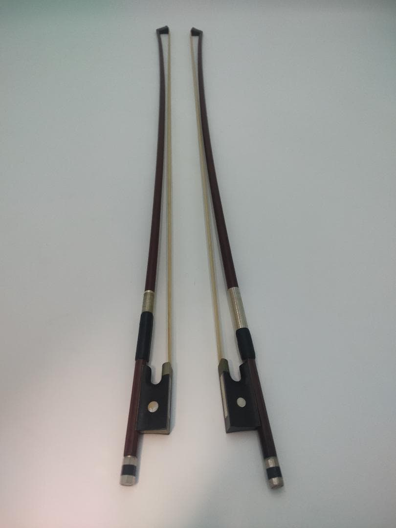 CARLO GIORDANO VS-2 4/4サイズ バイオリン 本体+弓2本