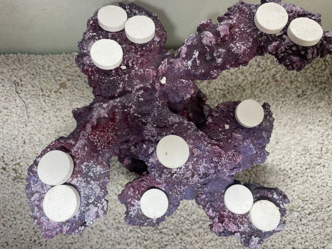 【送料無料】人工ライブロック　PHR23／12穴加工　アク抜き済み安心塗料使用