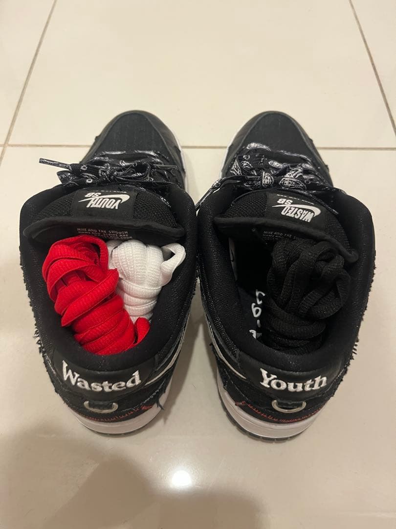 Wasted Youth × Nike SB Dunk Low 26cm