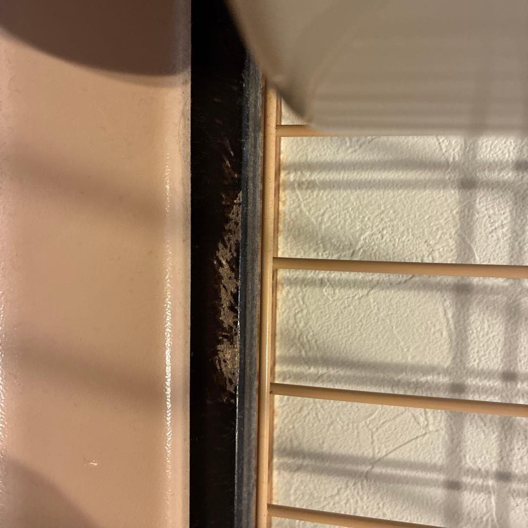 【2週間限定】引き出し式トレー付きケージ【都内】