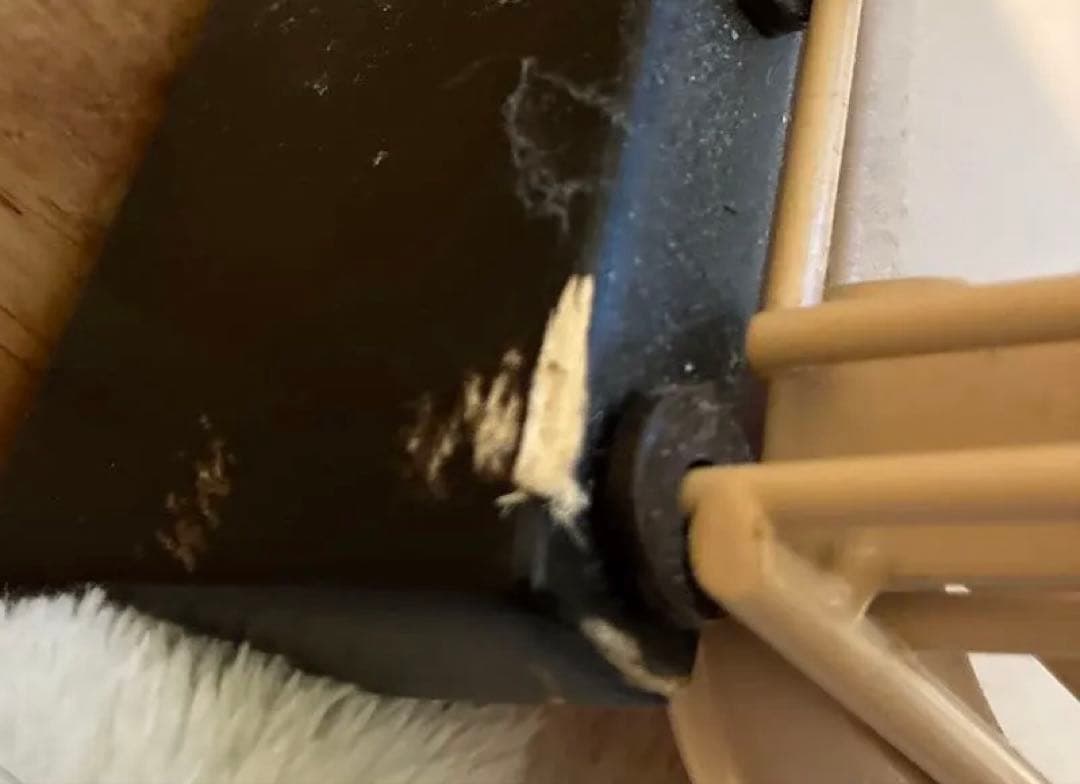 【2週間限定】引き出し式トレー付きケージ【都内】