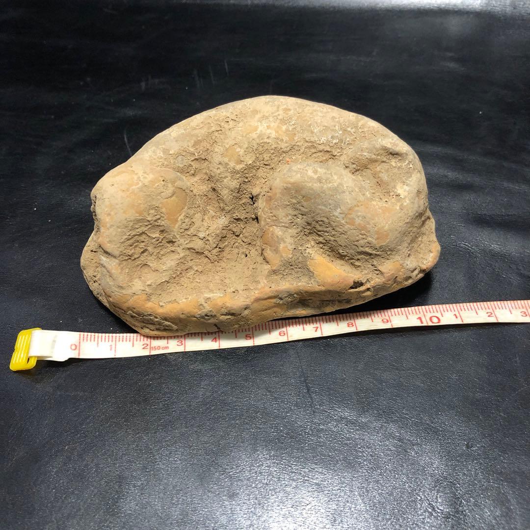 蔵から中国古銭と一緒の箱から出てきた 5体の内の1体　 犬イヌ中国古美術土器