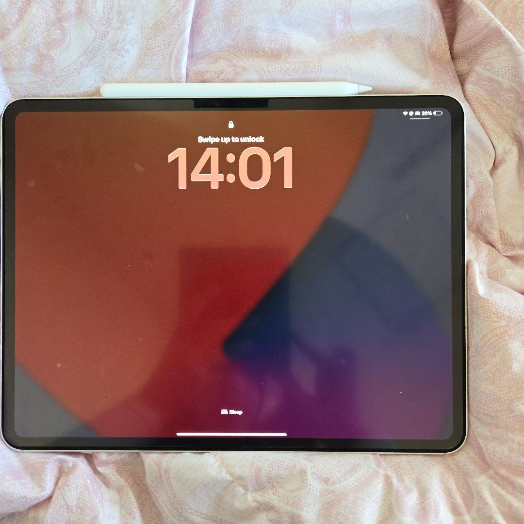 iPad Pro 13インチ M4 256GB+Apple Pencil Pro