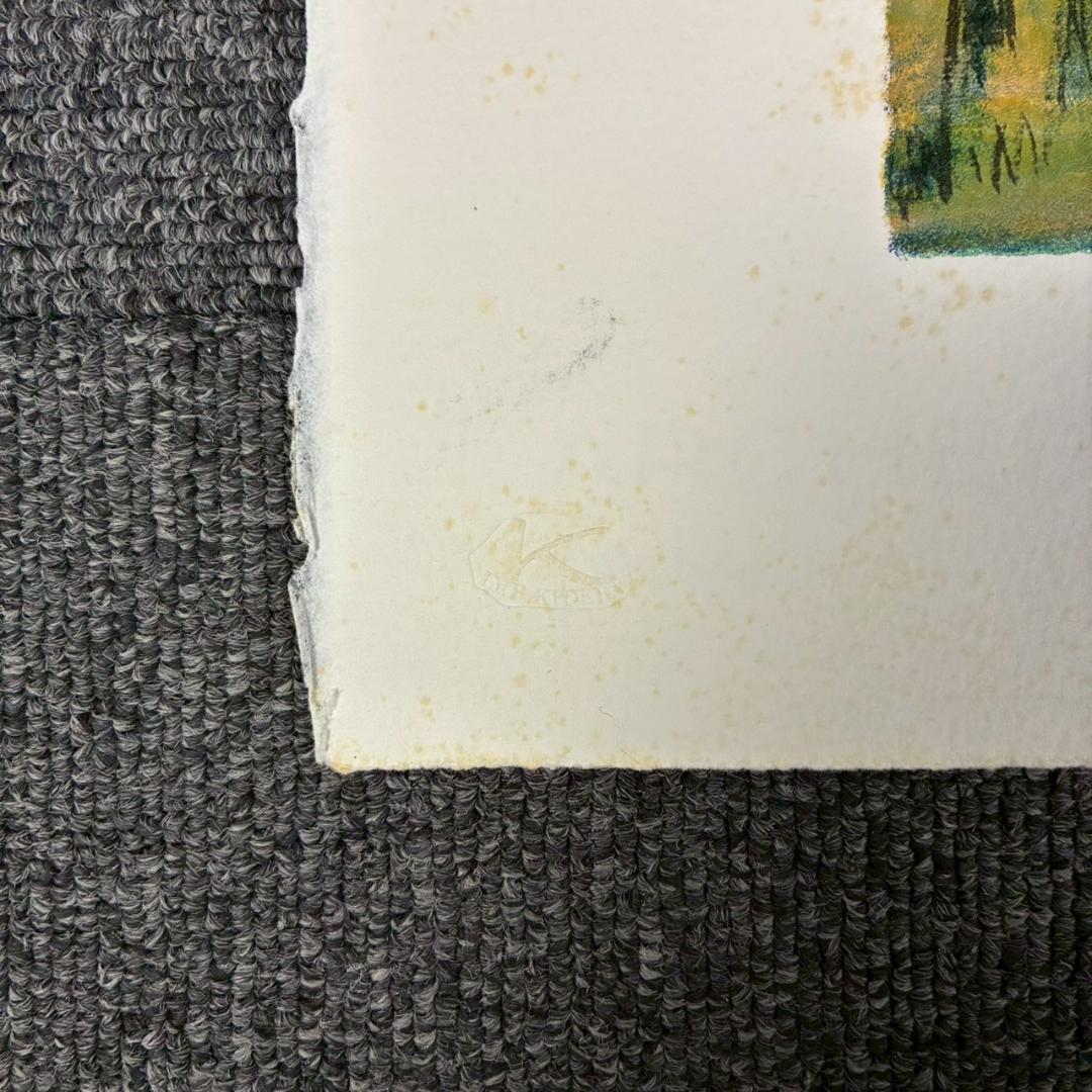 田崎廣助「桜島」リトグラフ 印章有 エンボス印有 額縁入り 田崎広助 鹿児島