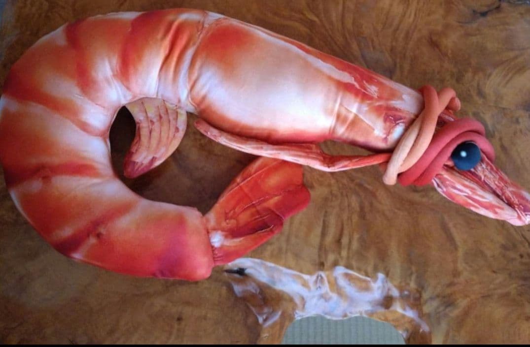 海鮮市場シリーズぬいぐるみ　まとめ売り