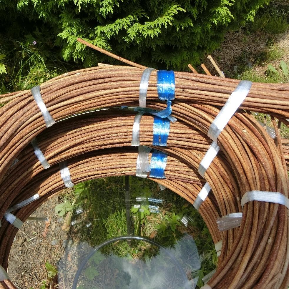 なつ（╹◡╹）♡ 青森県岩木山採取　あけび蔓　150cm～　3kg　太い蔓