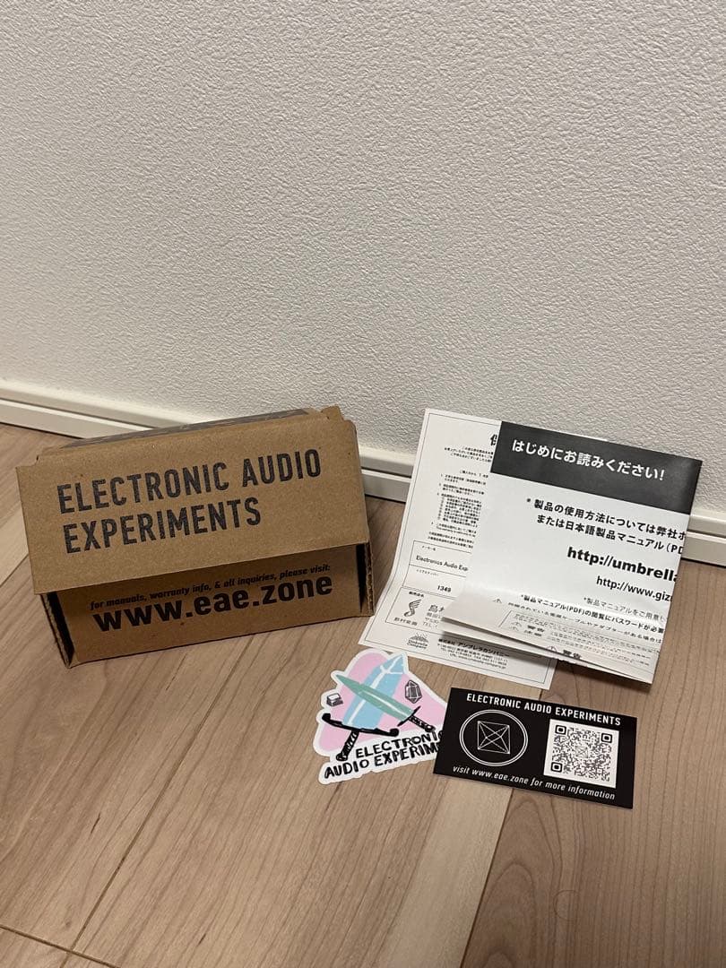 ギター ELECTRONIC AUDIO EXPERIMENTS model feT