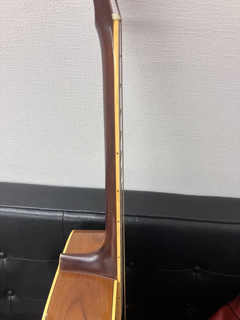 【Morsris/モーリス】MD-505 アコースティックギター アコギ 日本製