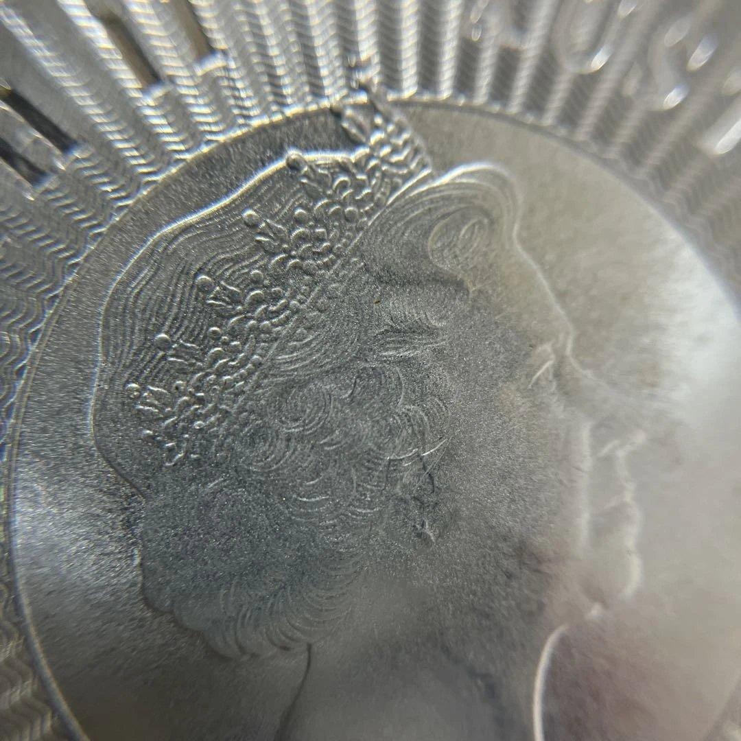 【純銀】オーストラリア　カンガルー 銀貨　1oz ケース付き　⑥