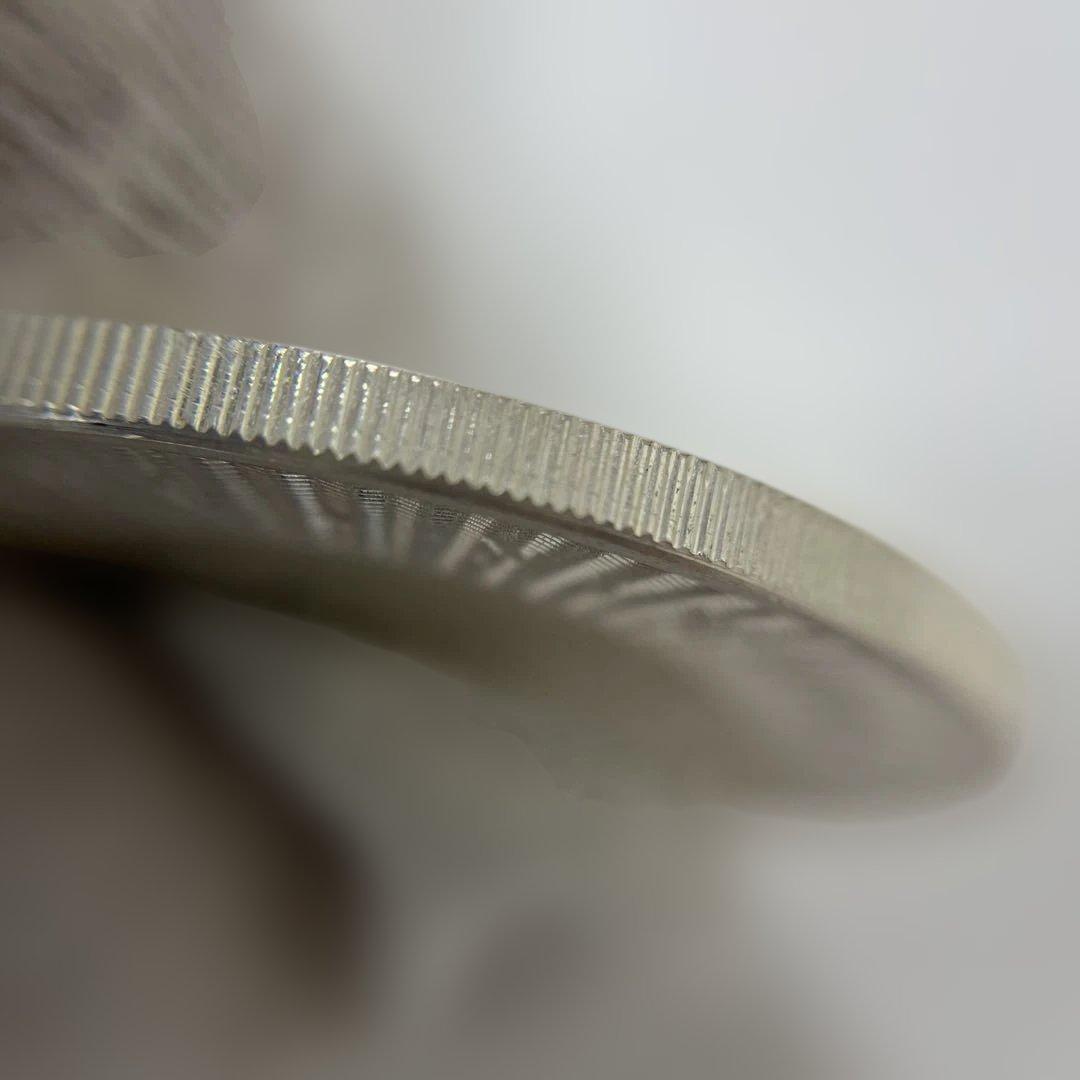 【純銀】オーストラリア　カンガルー 銀貨　1oz ケース付き　⑥