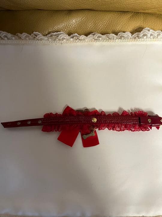 for pets only カラー