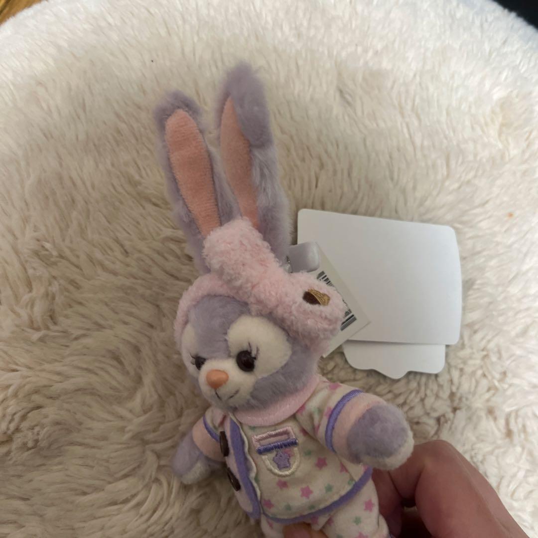 【新品タグ付き】オータムスリープオーバー　ステラルー　ぬいぐるみバッジ パジャマ