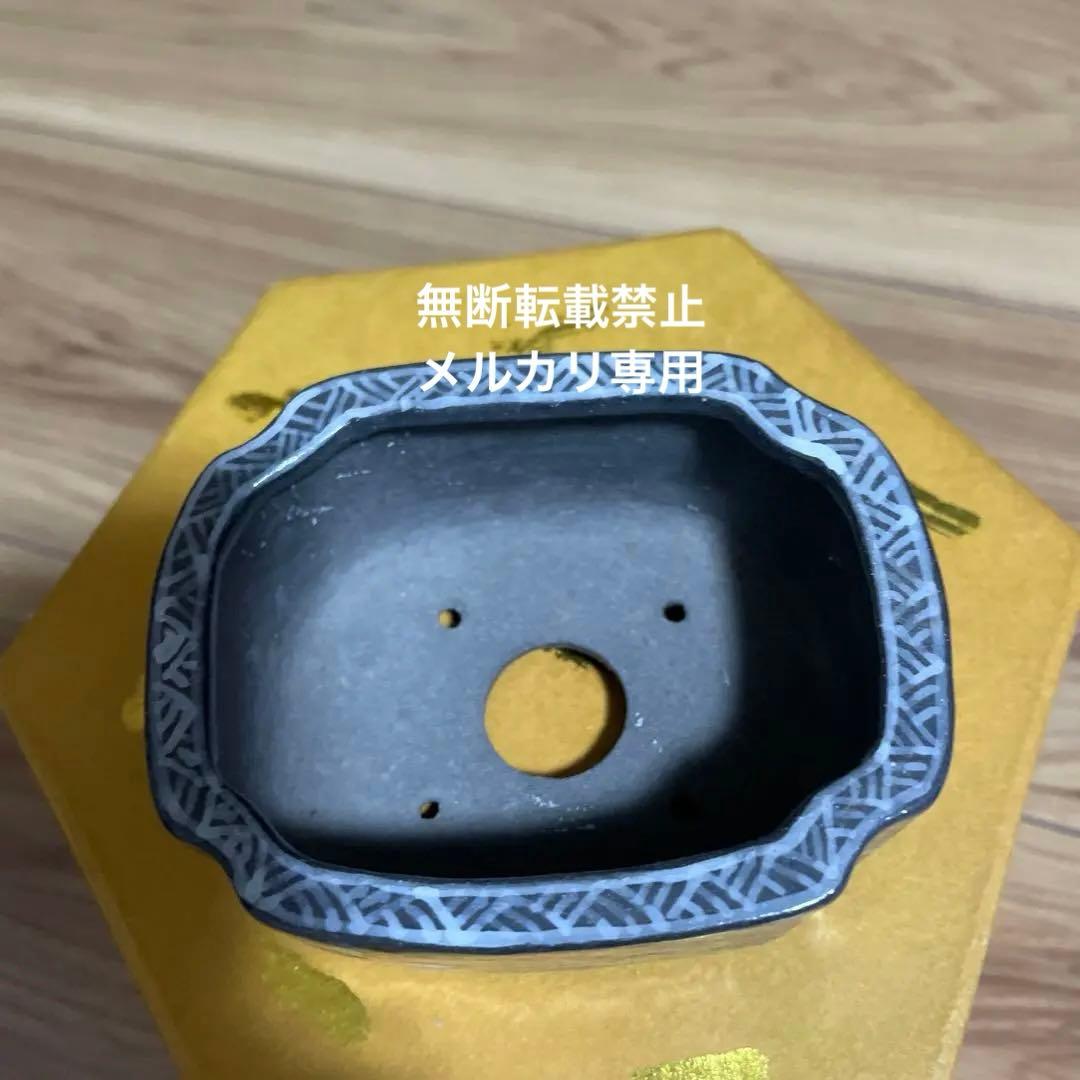 盆栽鉢　桑津香石　山野草　ミニ盆栽鉢　小品盆栽