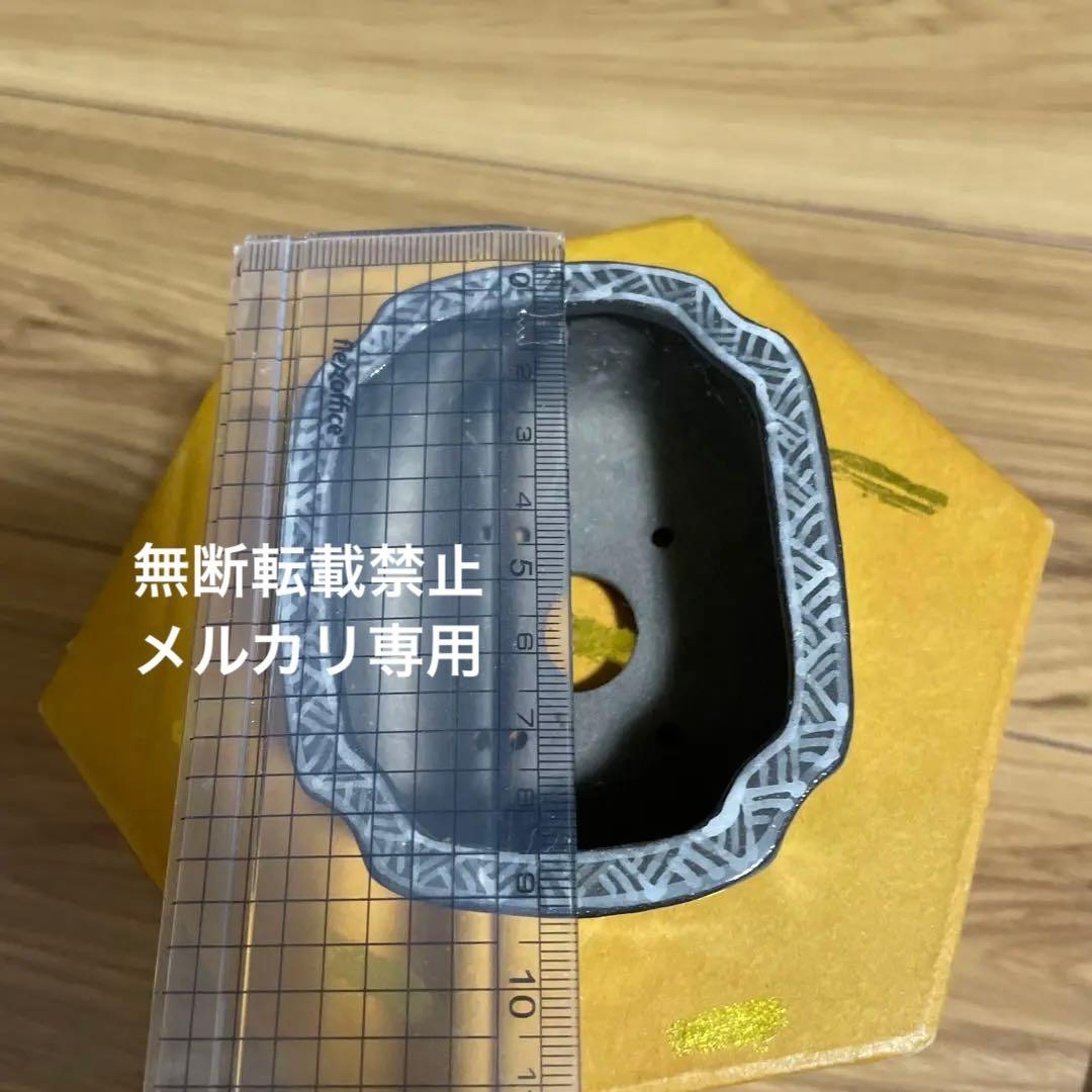 盆栽鉢　桑津香石　山野草　ミニ盆栽鉢　小品盆栽