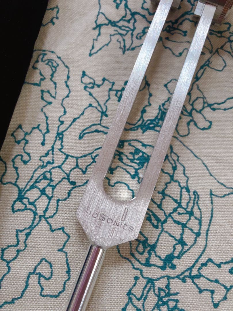 バイオソニック　EARTH 136.1Hz　専用ケース付き