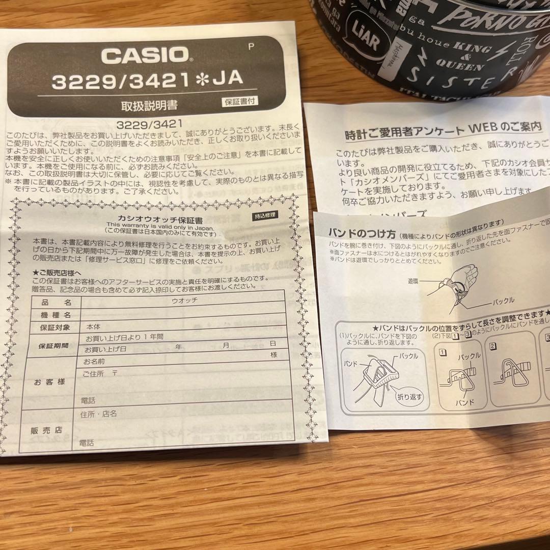 ミュージシャン G-SHOCK PORNO GRAFFITTI 20th Anniversary