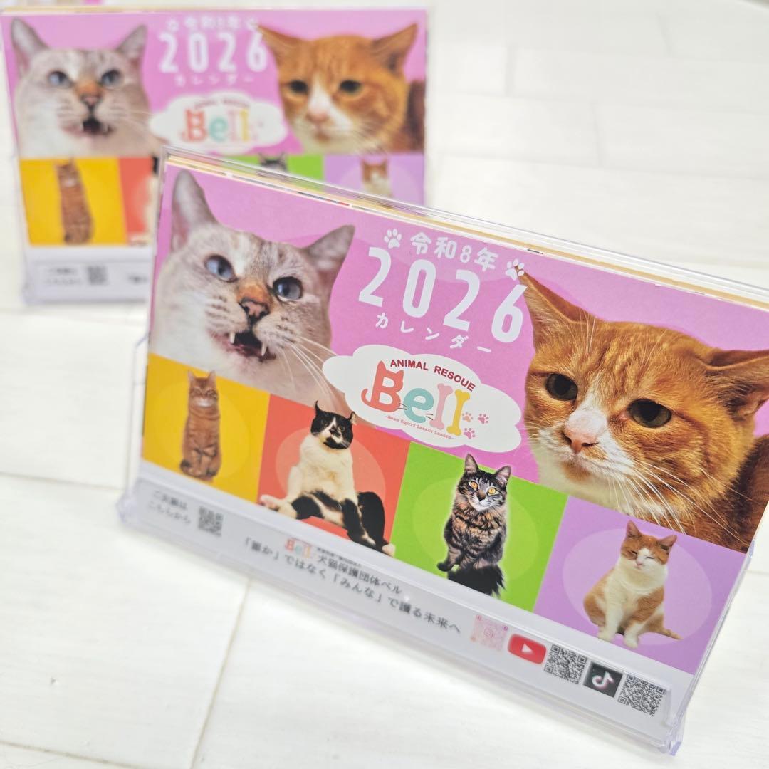 ①《猫》 卓上チャリティーカレンダー5枚セット