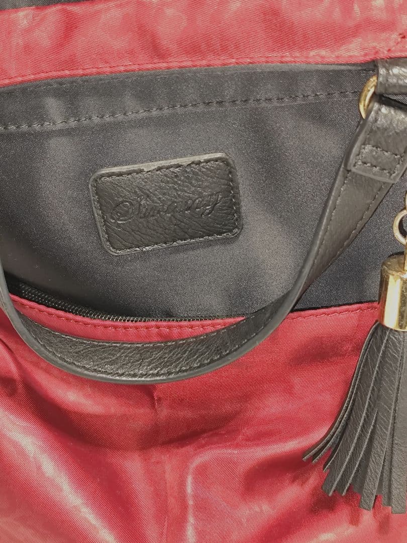 SWANY　スワニー　キャリーカートバッグ 中古品