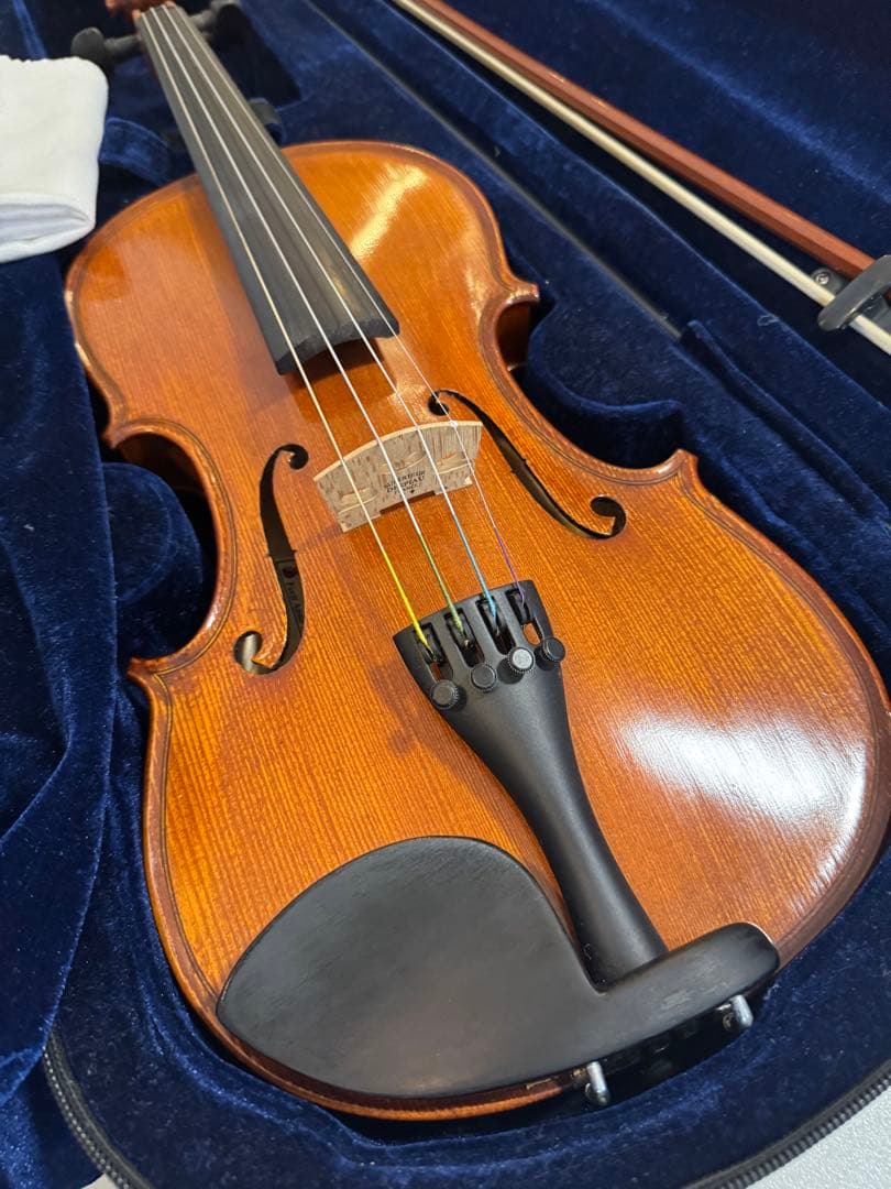 Gliga Gliga Gems Violin SET バイオリン本体とその他